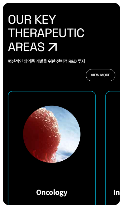 동아 반응형 페이지